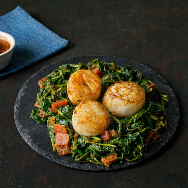 SCALLOPS SAAG